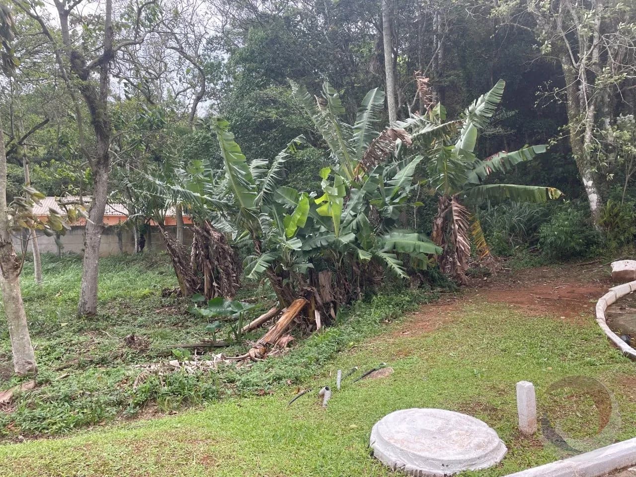 Terreno para venda em Armação do Pântano Do Sul com 615 m² — foto 2