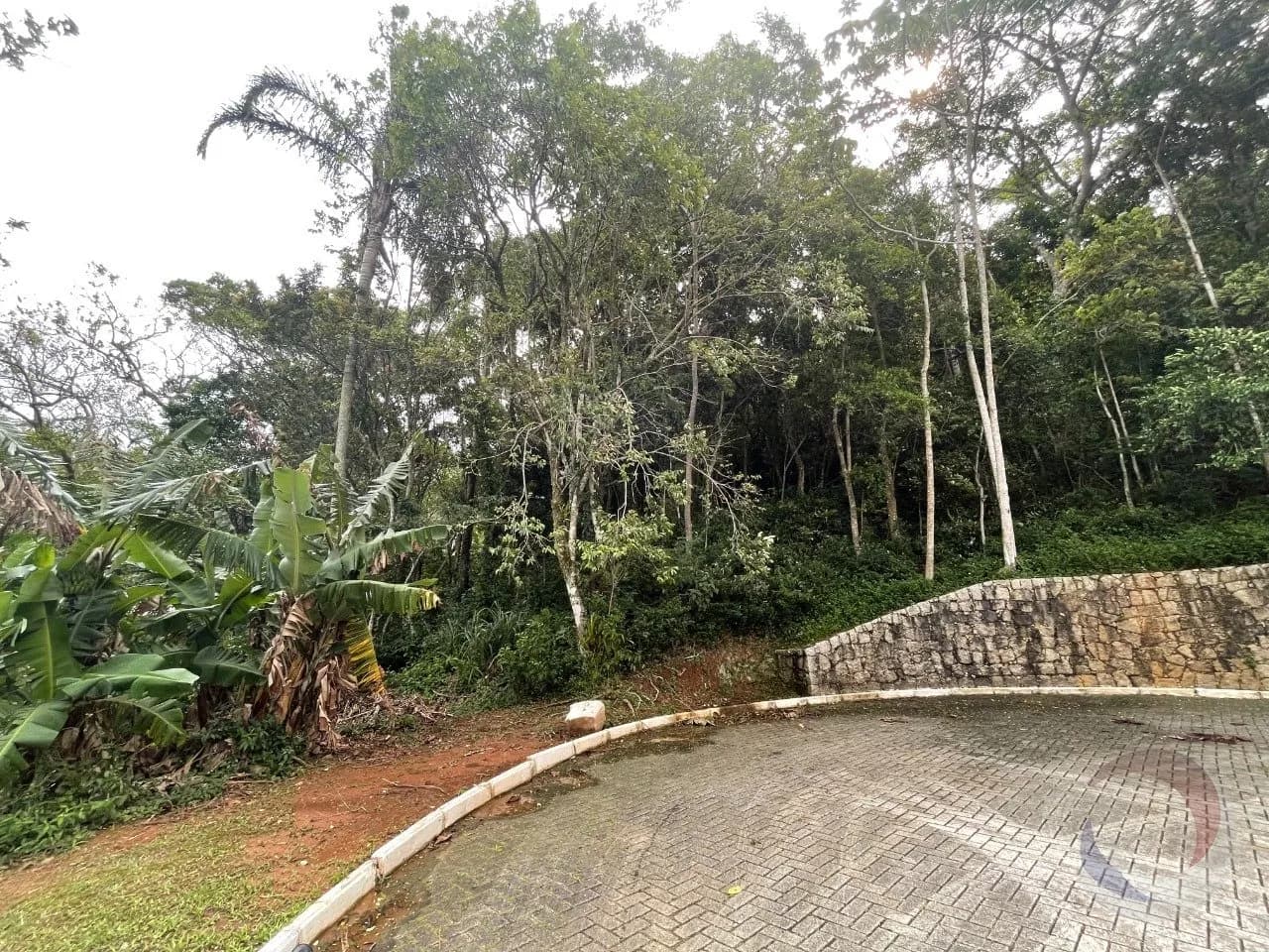 Terreno para venda em Armação do Pântano Do Sul com 615 m² — foto 5
