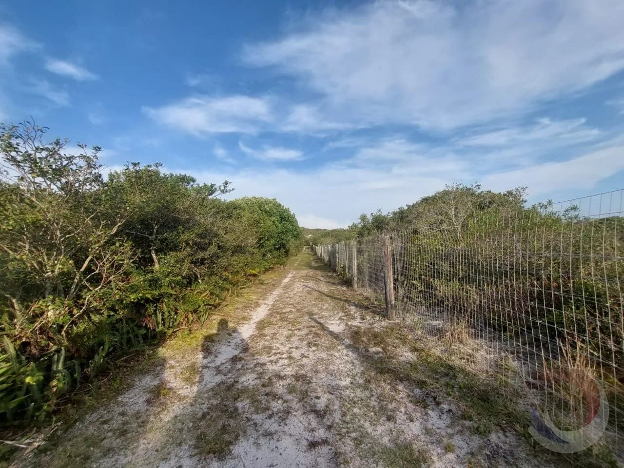Terreno para venda em Rio Tavares com 24364 m² — foto 2