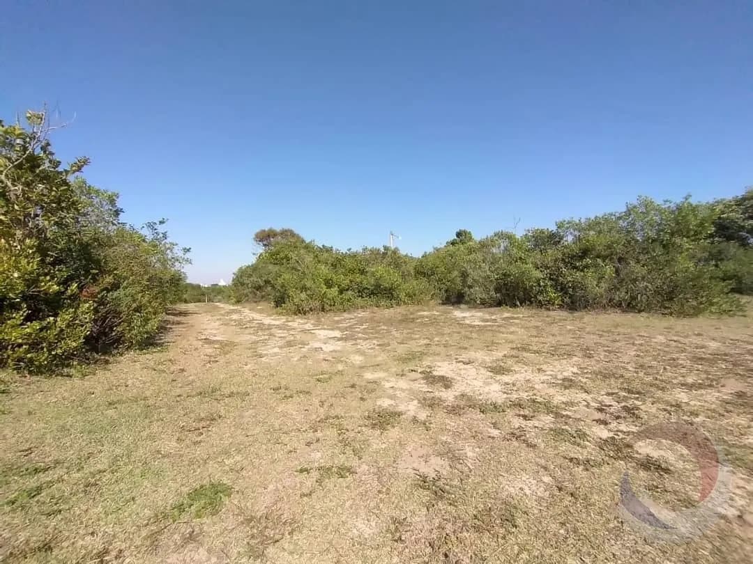 Terreno para venda em Rio Tavares com 24364 m² — foto 4