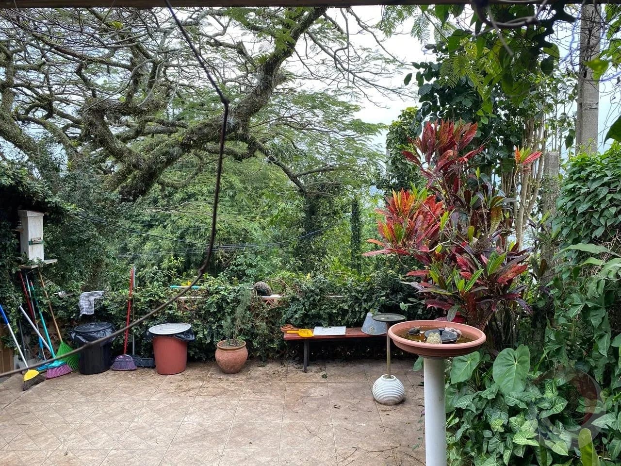 Terreno para venda em Ribeirão da Ilha com 24000 m² — foto 3