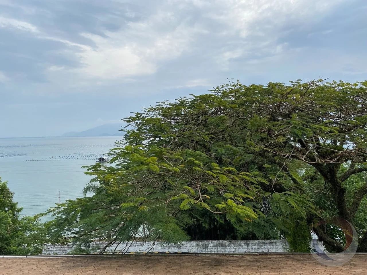 Terreno para venda em Ribeirão da Ilha com 24000 m² — foto 5