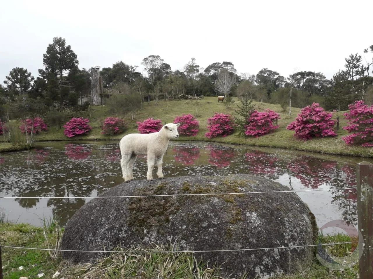 Casa para venda com 3 dormitórios em Rancho Queimado com 193 m² — foto 2