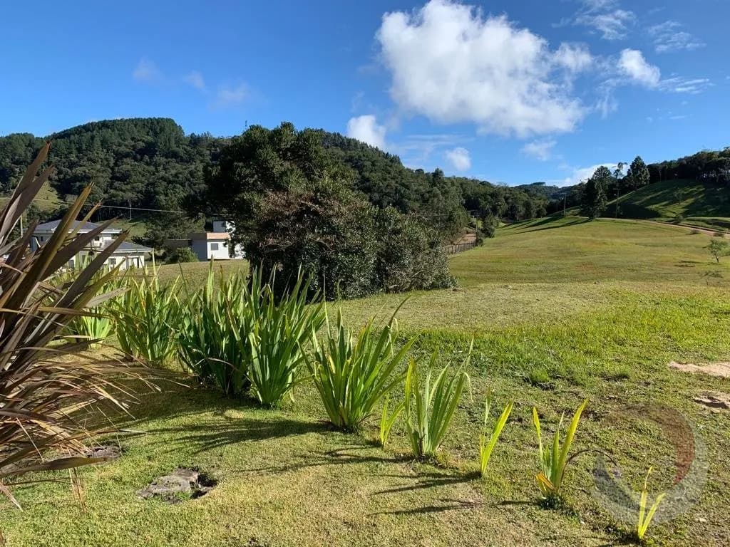 Terreno para venda em Invernadinha com 938 m² — foto 2