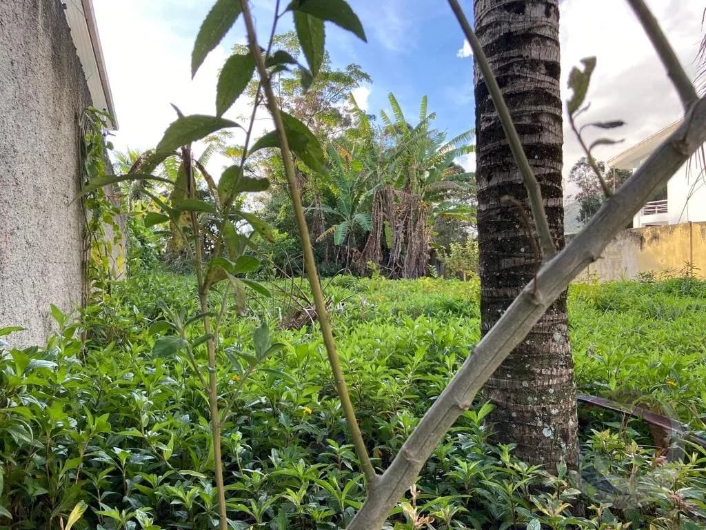 Terreno para venda em Santa Mônica com 360 m² — foto 2