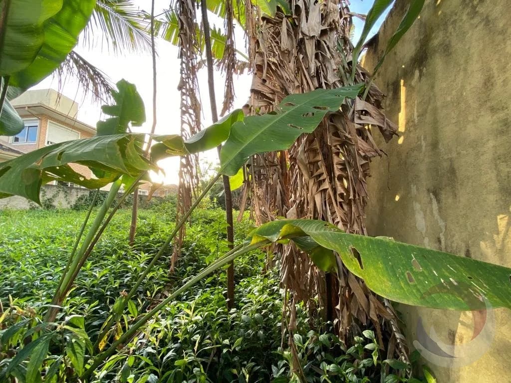 Terreno para venda em Santa Mônica com 360 m² — foto 4