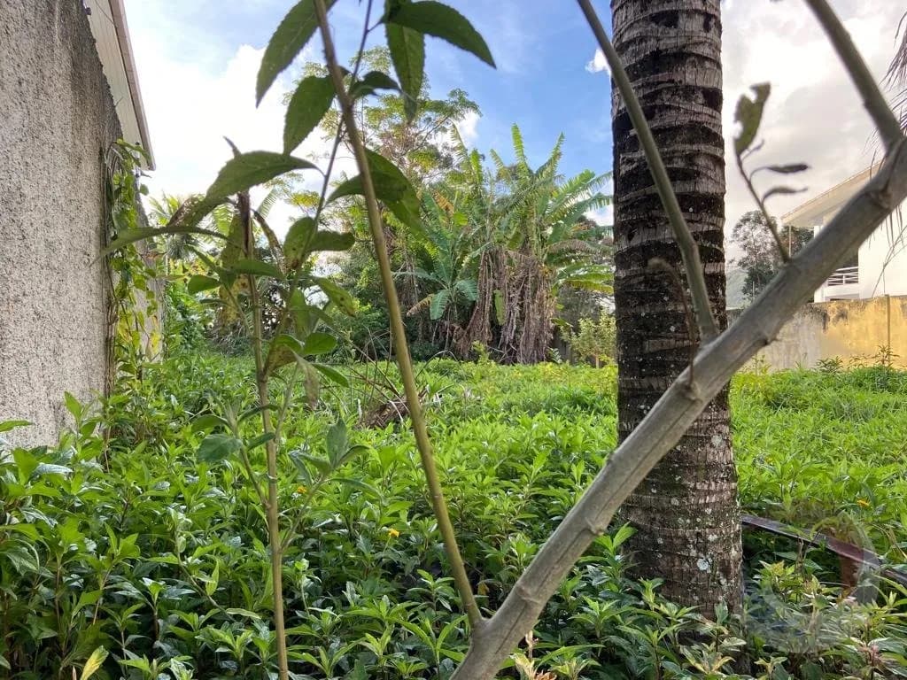 Terreno para venda em Santa Mônica com 360 m² — foto 5