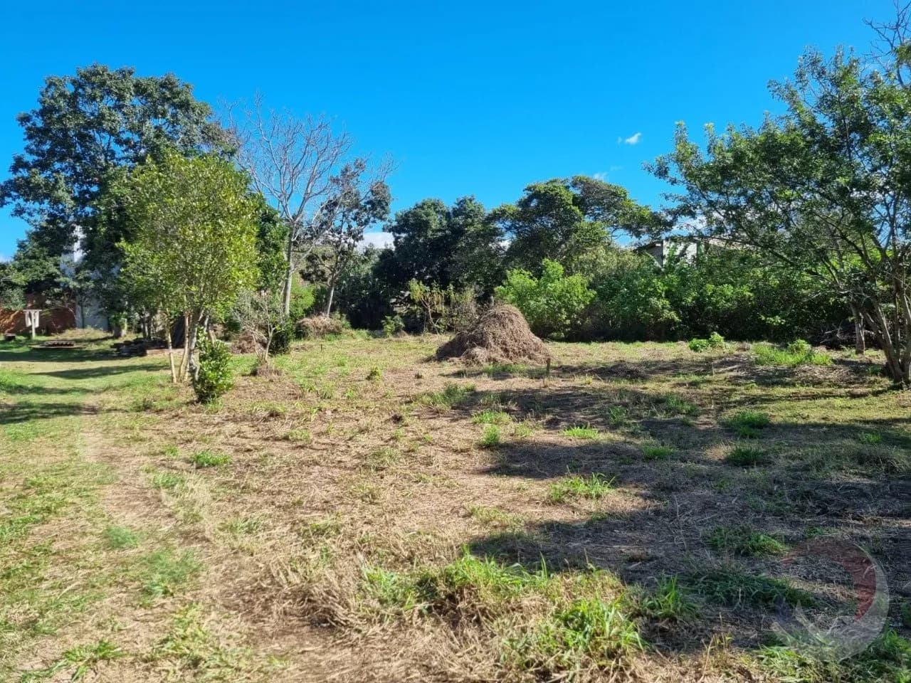Terreno para venda em Campeche com 4122 m² — foto 4
