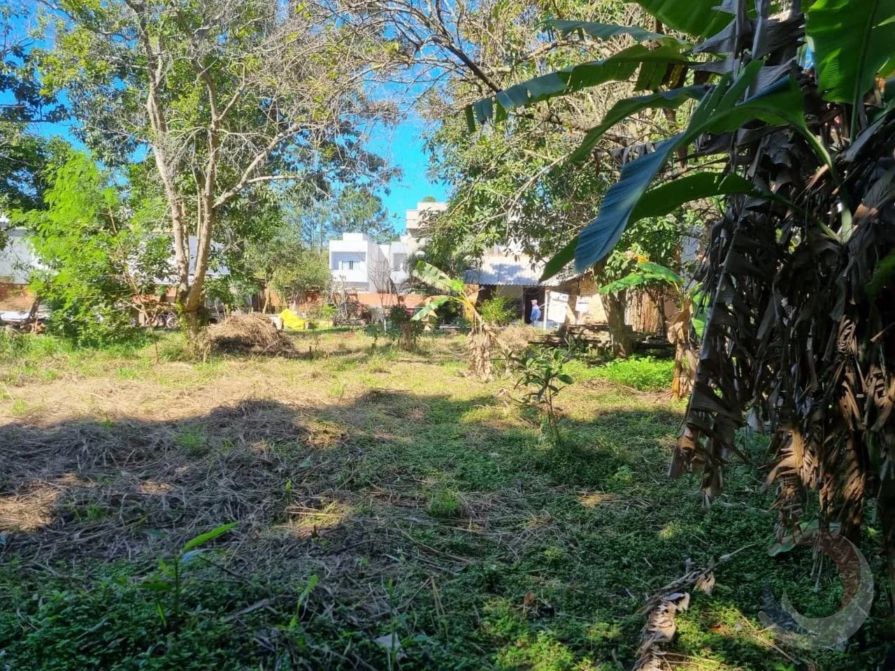 Terreno para venda em Campeche com 4122 m² — foto 5