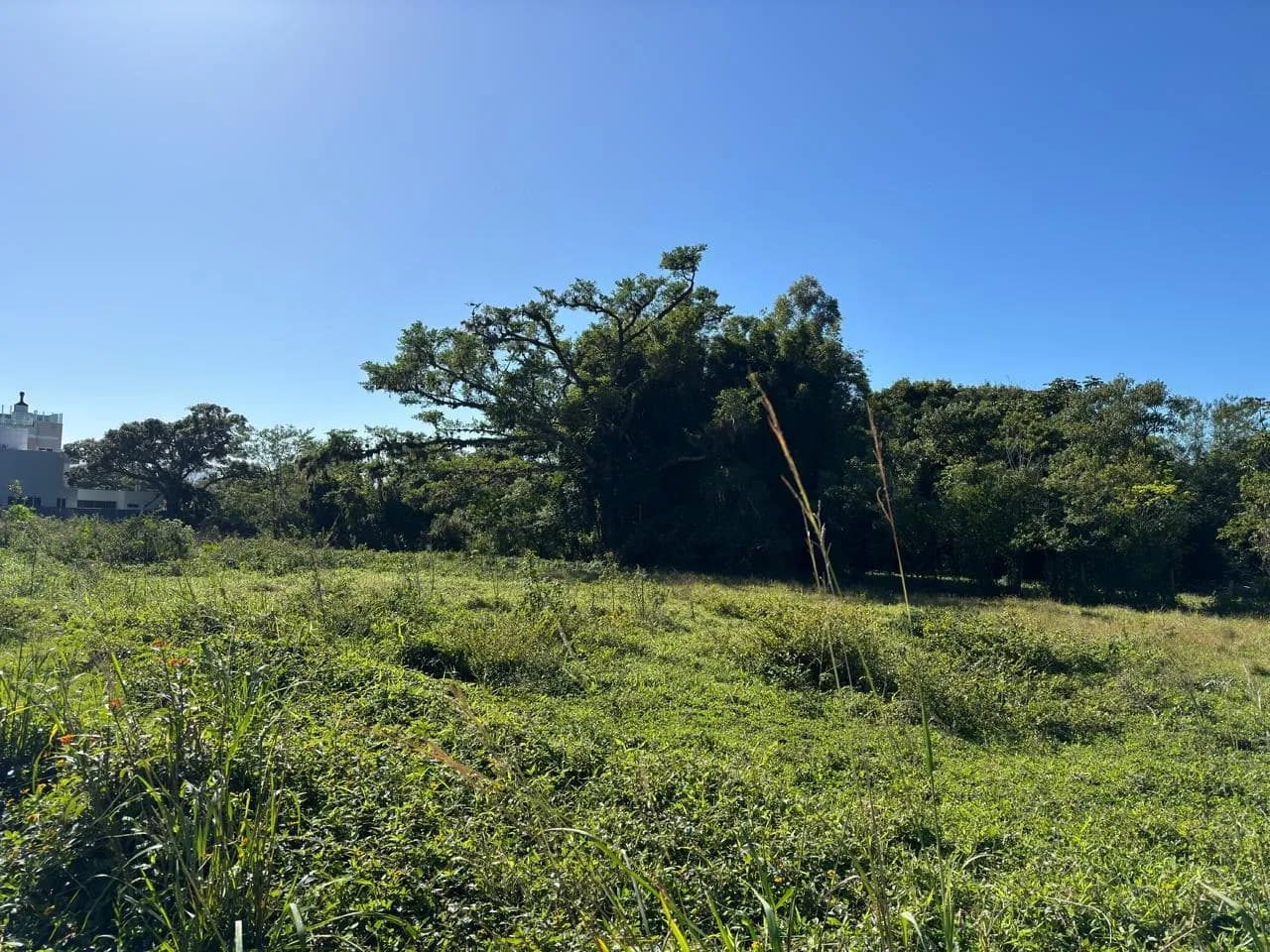 Terreno para venda em Ribeirão da Ilha com 463 m² — foto principal