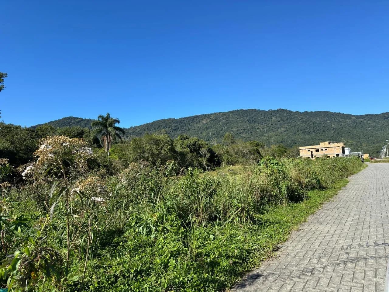 Terreno para venda em Ribeirão da Ilha com 463 m² — foto 2