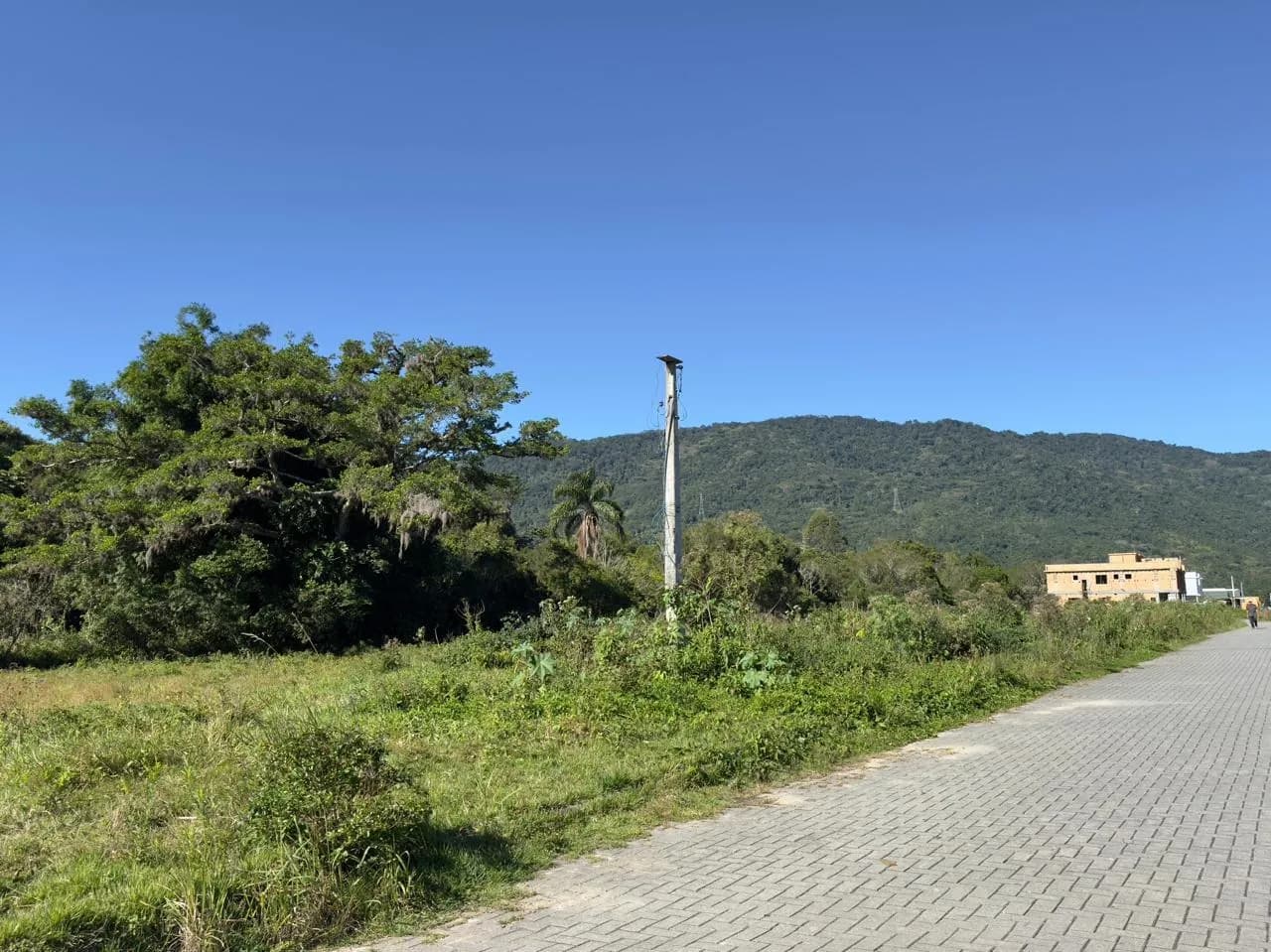 Terreno para venda em Ribeirão da Ilha com 463 m² — foto 3