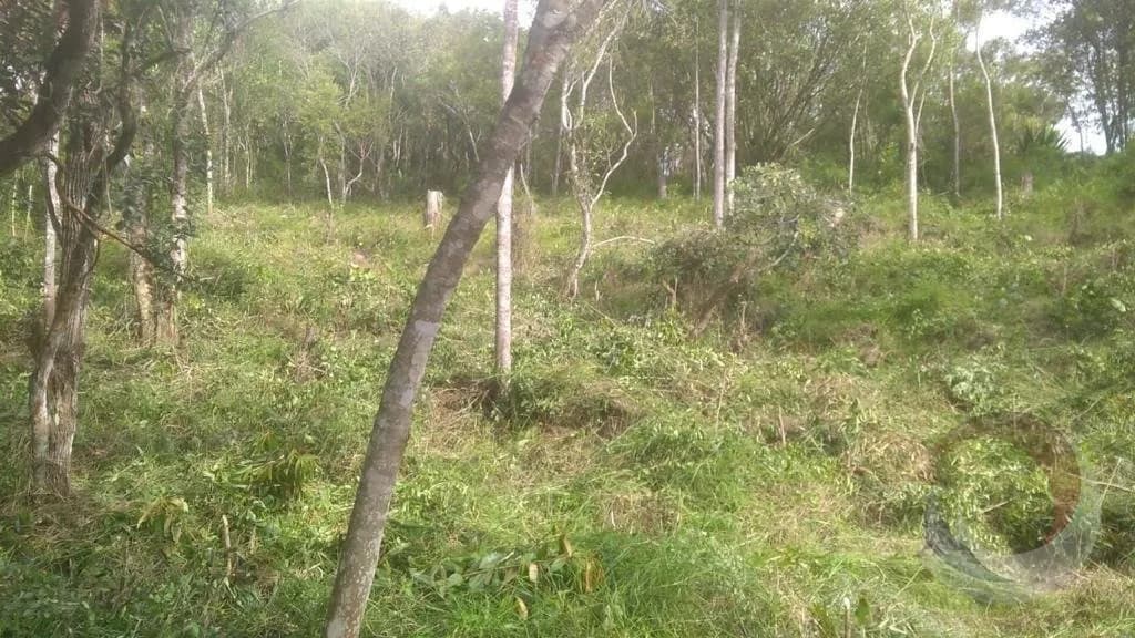 Terreno para venda em Joao Paulo com 1500 m² — foto 2