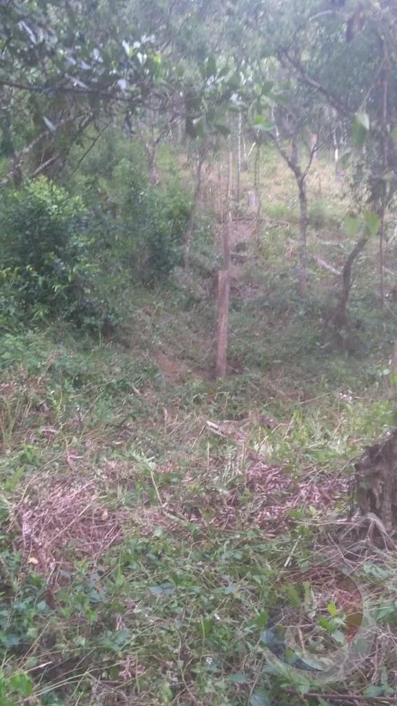 Terreno para venda em Joao Paulo com 1500 m² — foto 3