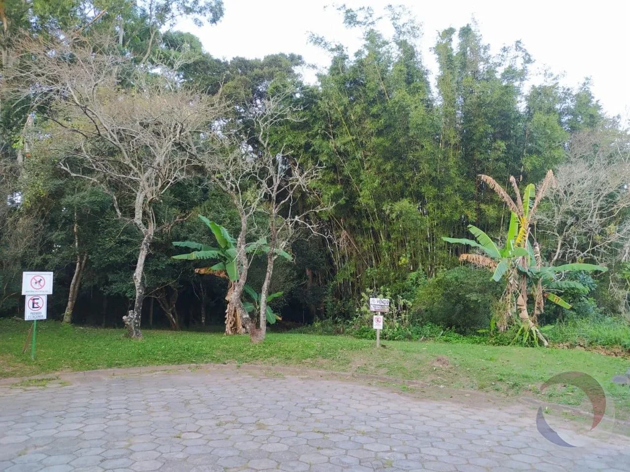 Terreno para venda em Rio Tavares com 819 m² — foto 5