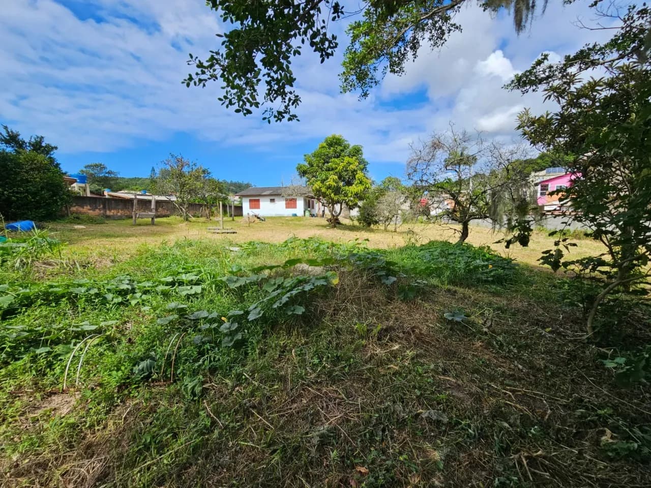 Terreno para venda em Cachoeira Do Bom Jesus com 2017 m² — foto principal