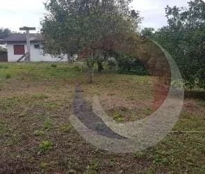 Terreno para venda em Cachoeira Do Bom Jesus com 2017 m² — foto 4
