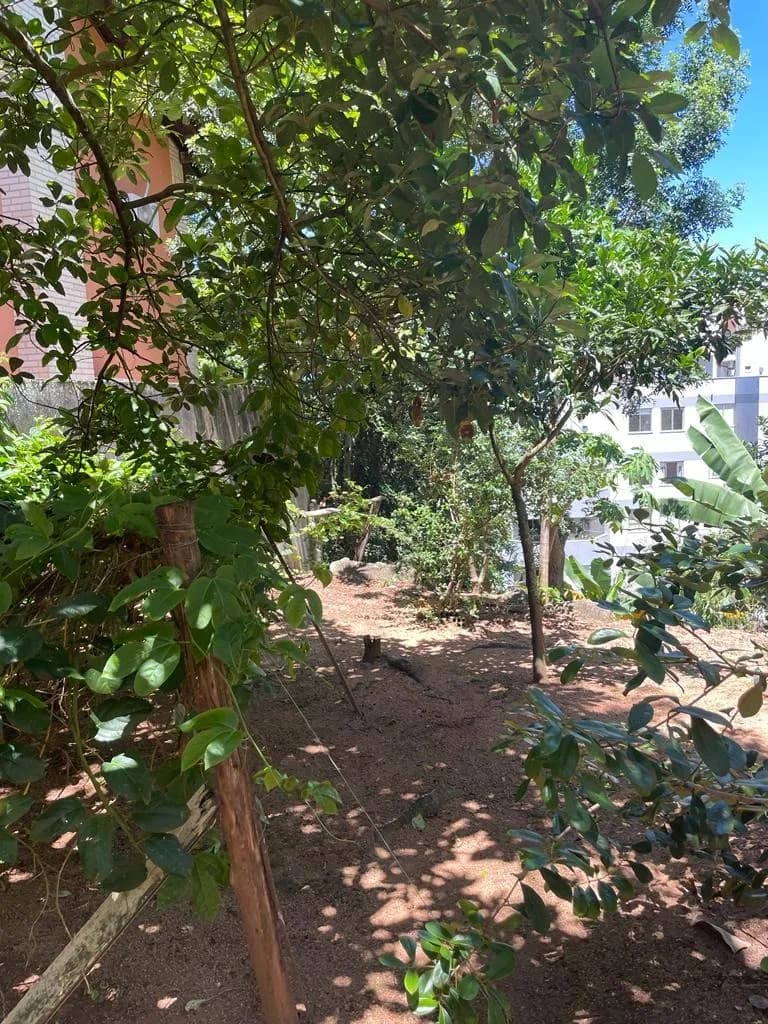 Terreno para venda em Coqueiros com 1427 m² — foto 5