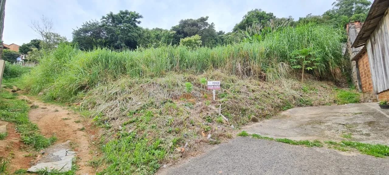 Terreno para venda em Agronômica com 5688 m² — foto principal