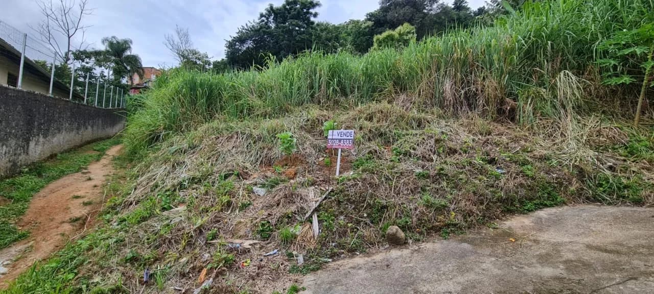 Terreno para venda em Agronômica com 5688 m² — foto 2