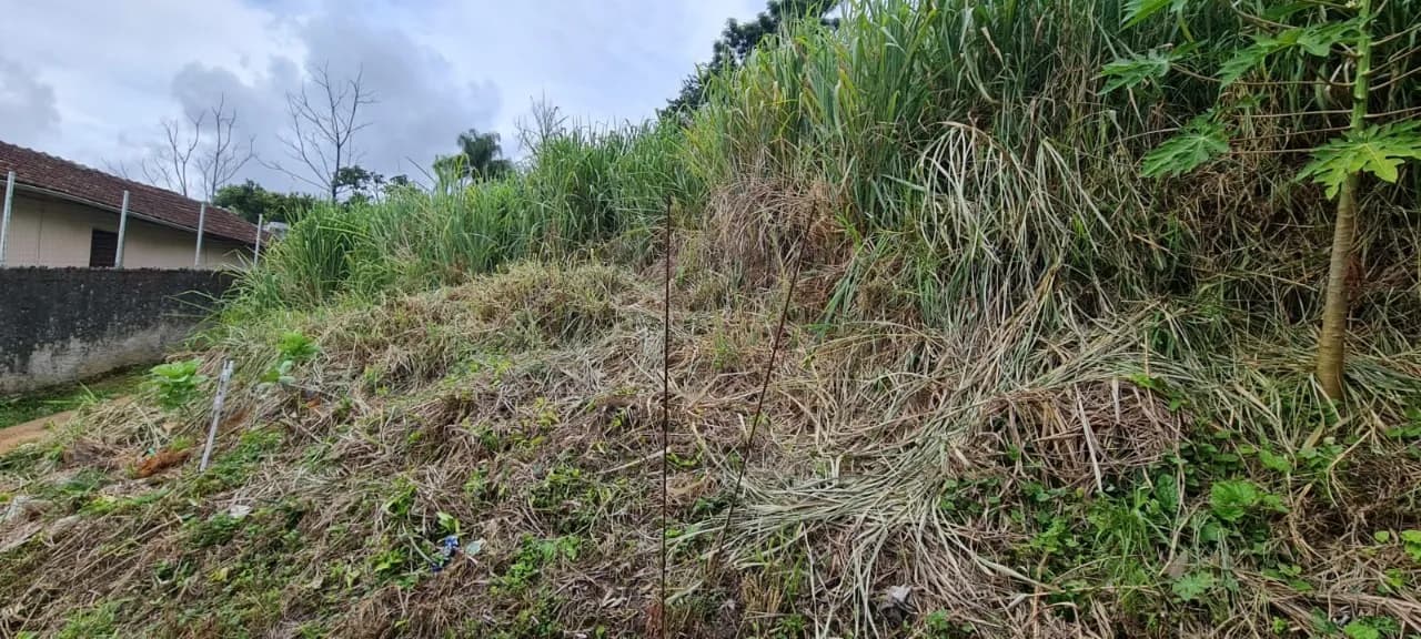 Terreno para venda em Agronômica com 5688 m² — foto 3