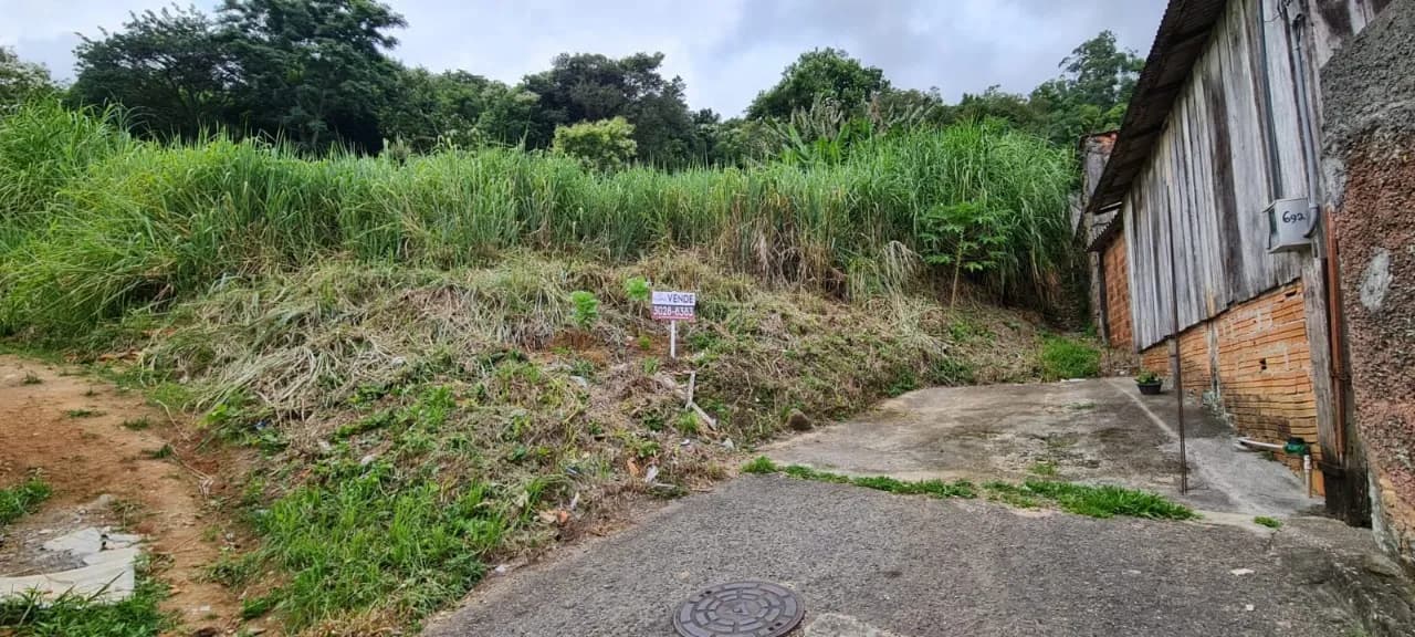 Terreno para venda em Agronômica com 5688 m² — foto 5