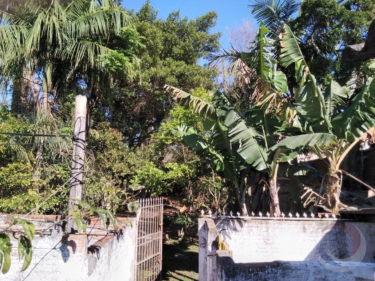 Terreno para venda em Centro com 1223 m² — foto 3