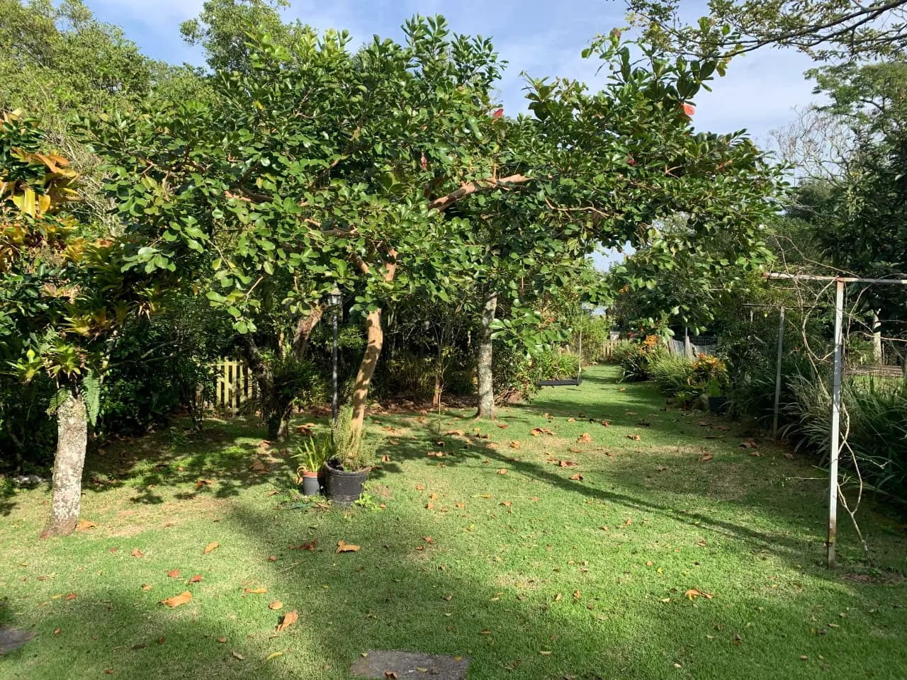 Casa para venda com 4 dormitórios em Joao Paulo com 485 m² — foto 4