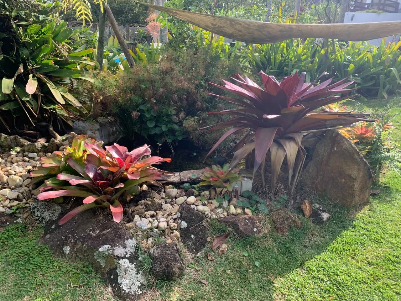 Casa para venda com 4 dormitórios em Joao Paulo com 485 m² — foto 5