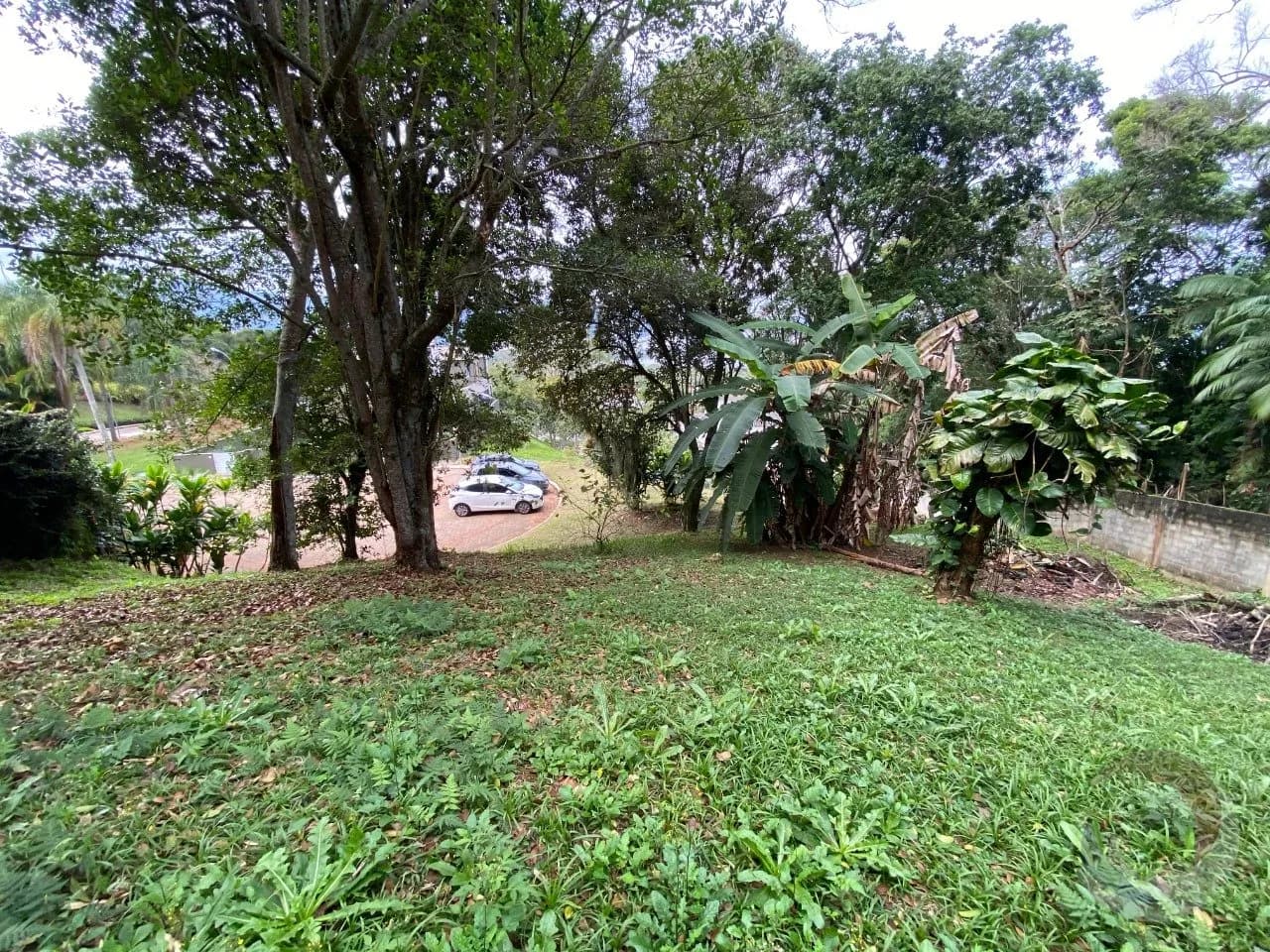 Terreno para venda em Cacupé com 1000 m² — foto 2
