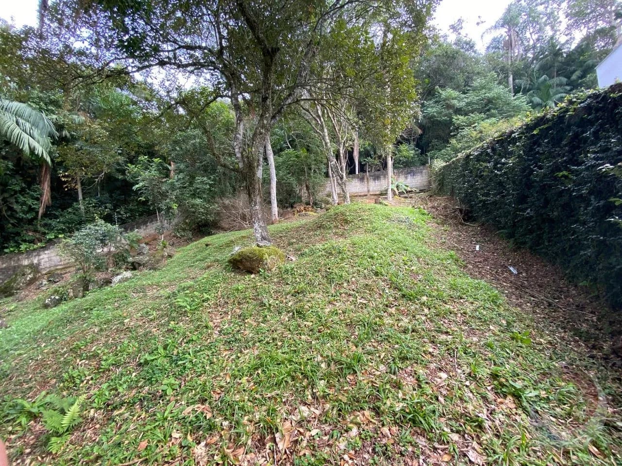 Terreno para venda em Cacupé com 1000 m² — foto 4