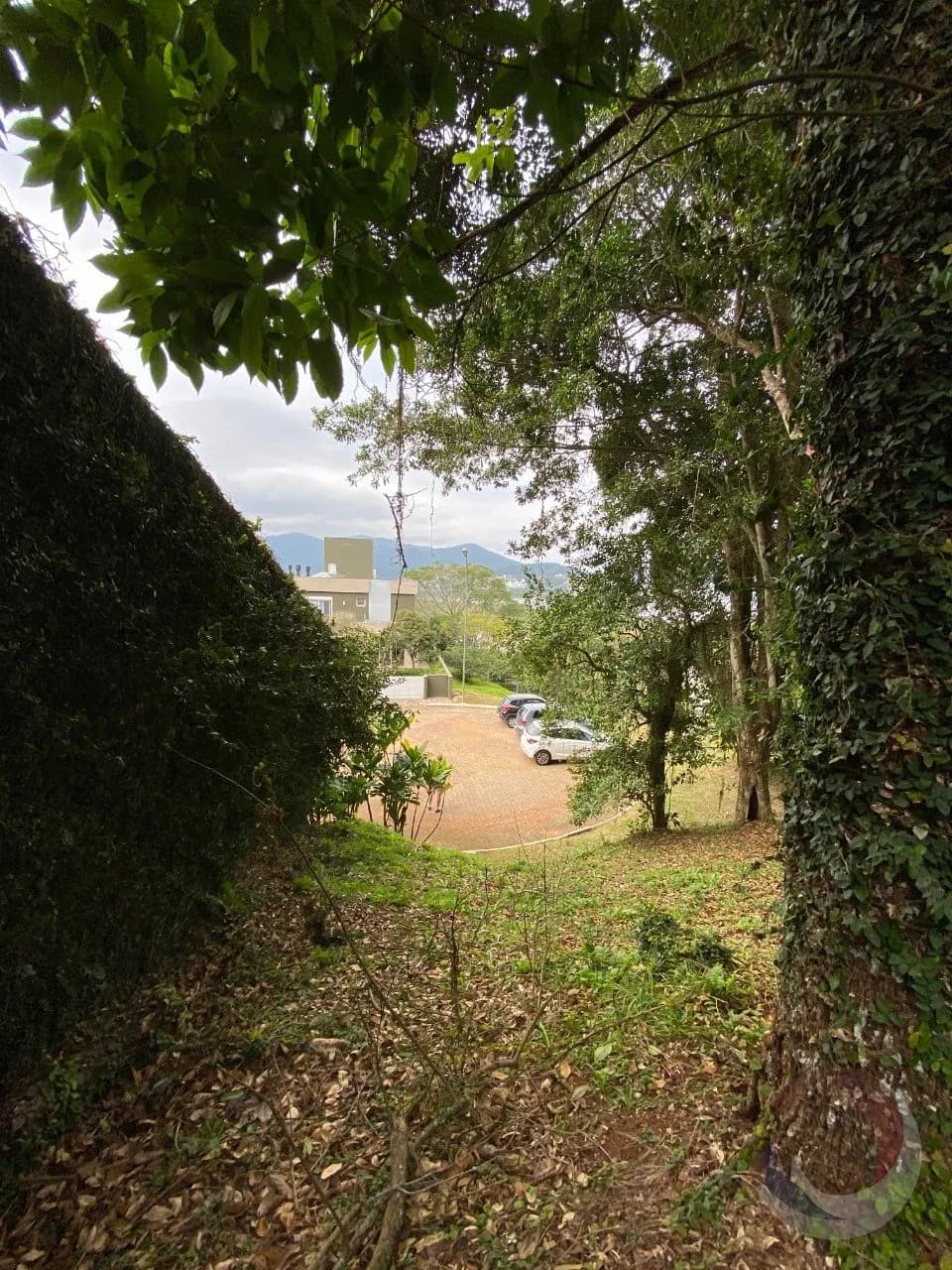 Terreno para venda em Cacupé com 1000 m² — foto 5