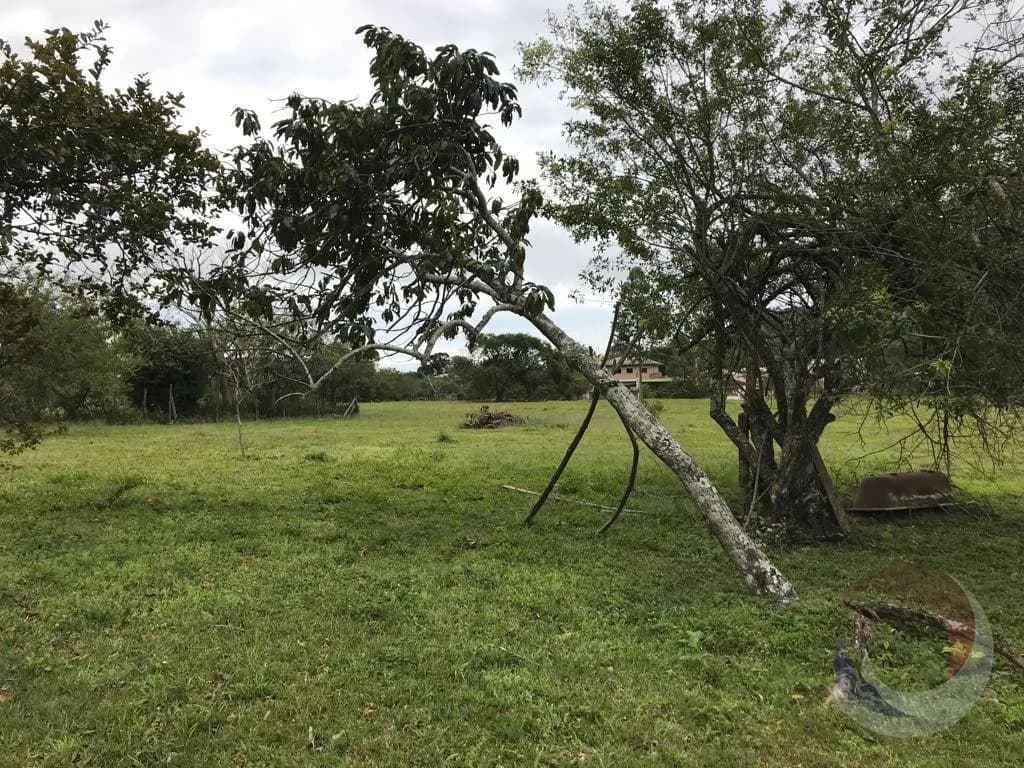 Sitio/fazenda para venda com 1 dormitório, em Vargem Grande com 50083 m² — foto 2