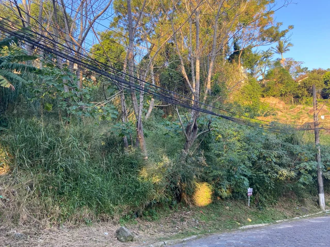 Terreno para venda em Saco Grande com 480 m² — foto principal