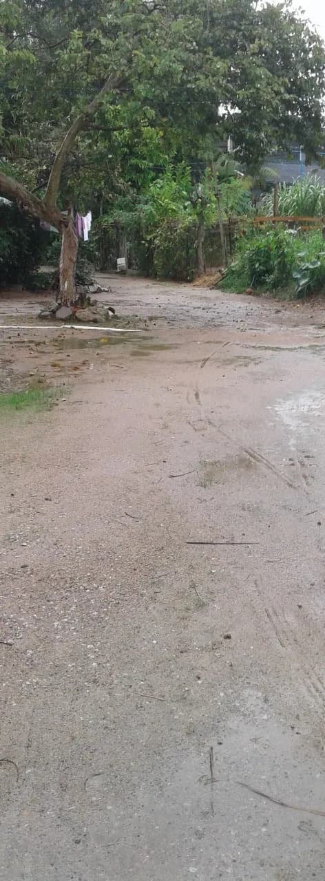 Terreno para venda em Rio Caveiras com 2523 m² — foto 4
