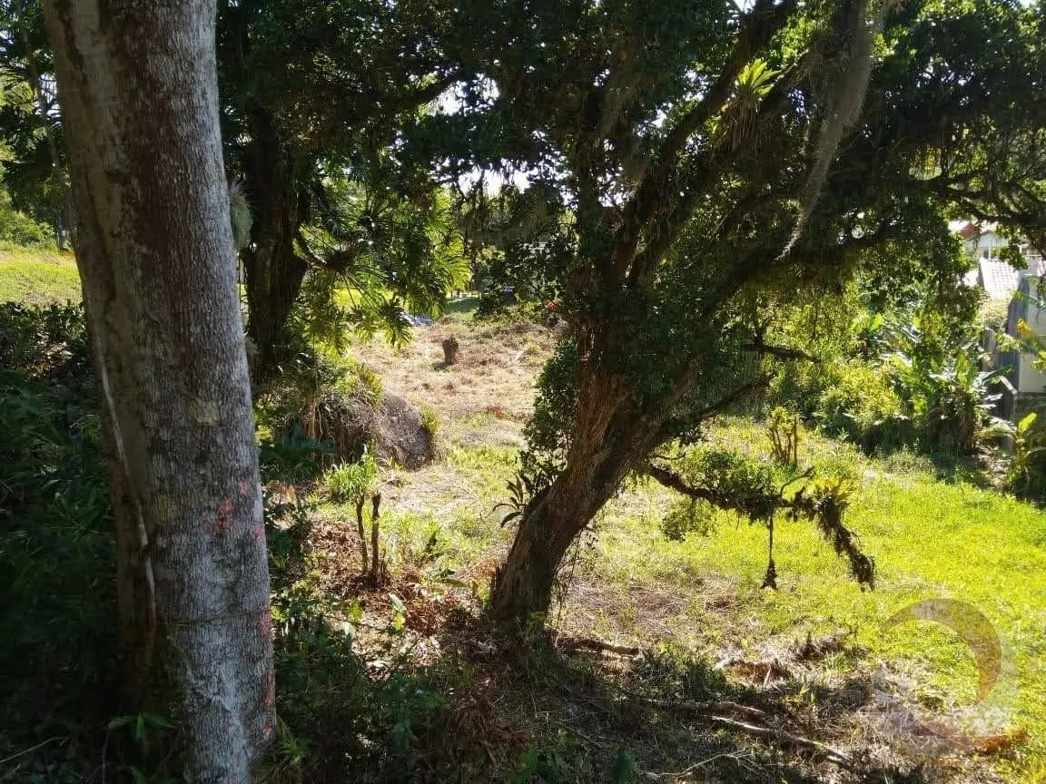 Terreno para venda em Armação da Piedade com 43875 m² — foto 3