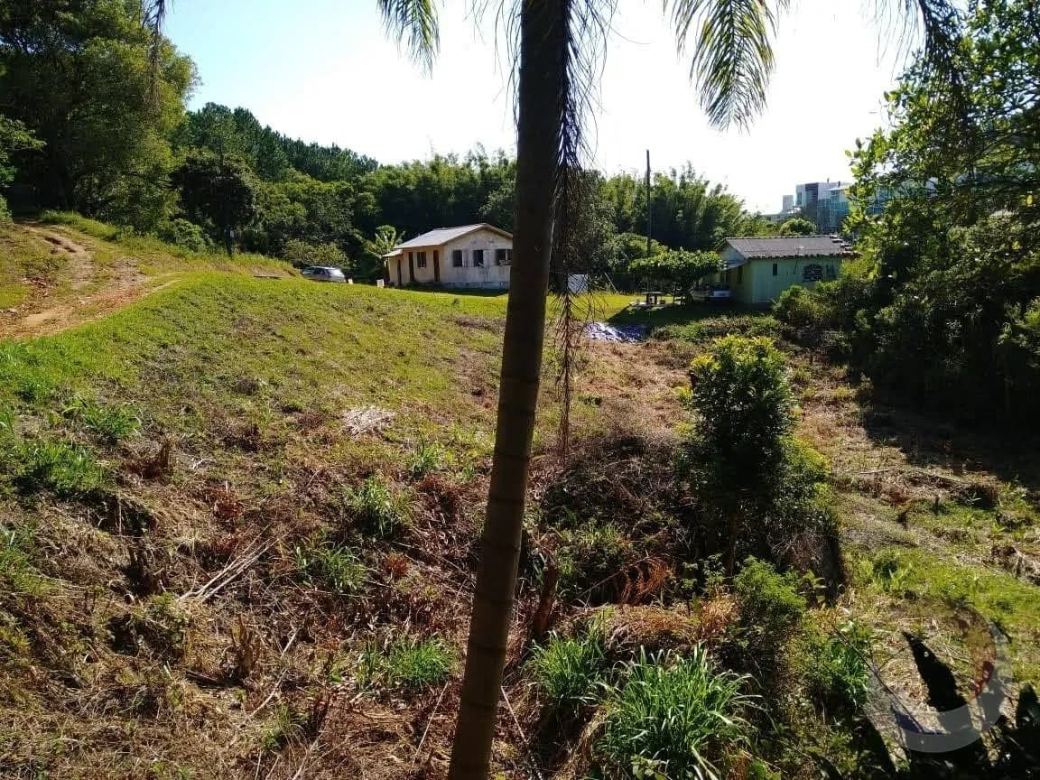 Terreno para venda em Armação da Piedade com 43875 m² — foto 4