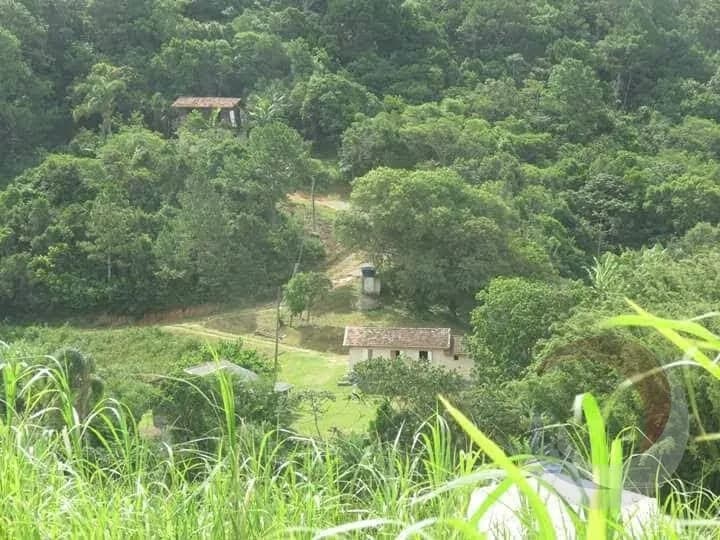 Terreno para venda em Armação da Piedade com 43875 m² — foto 5