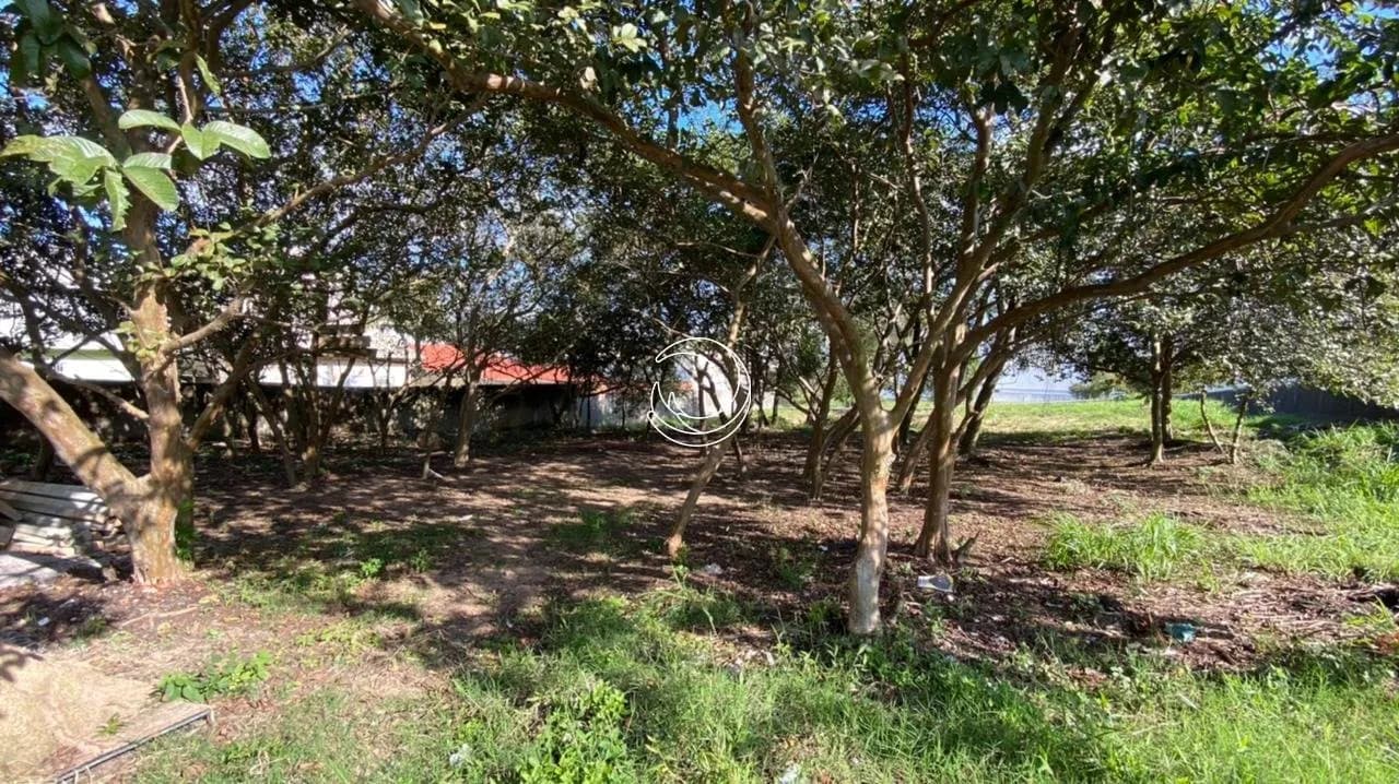 Terreno para venda em Areias com 1890 m² — foto 2