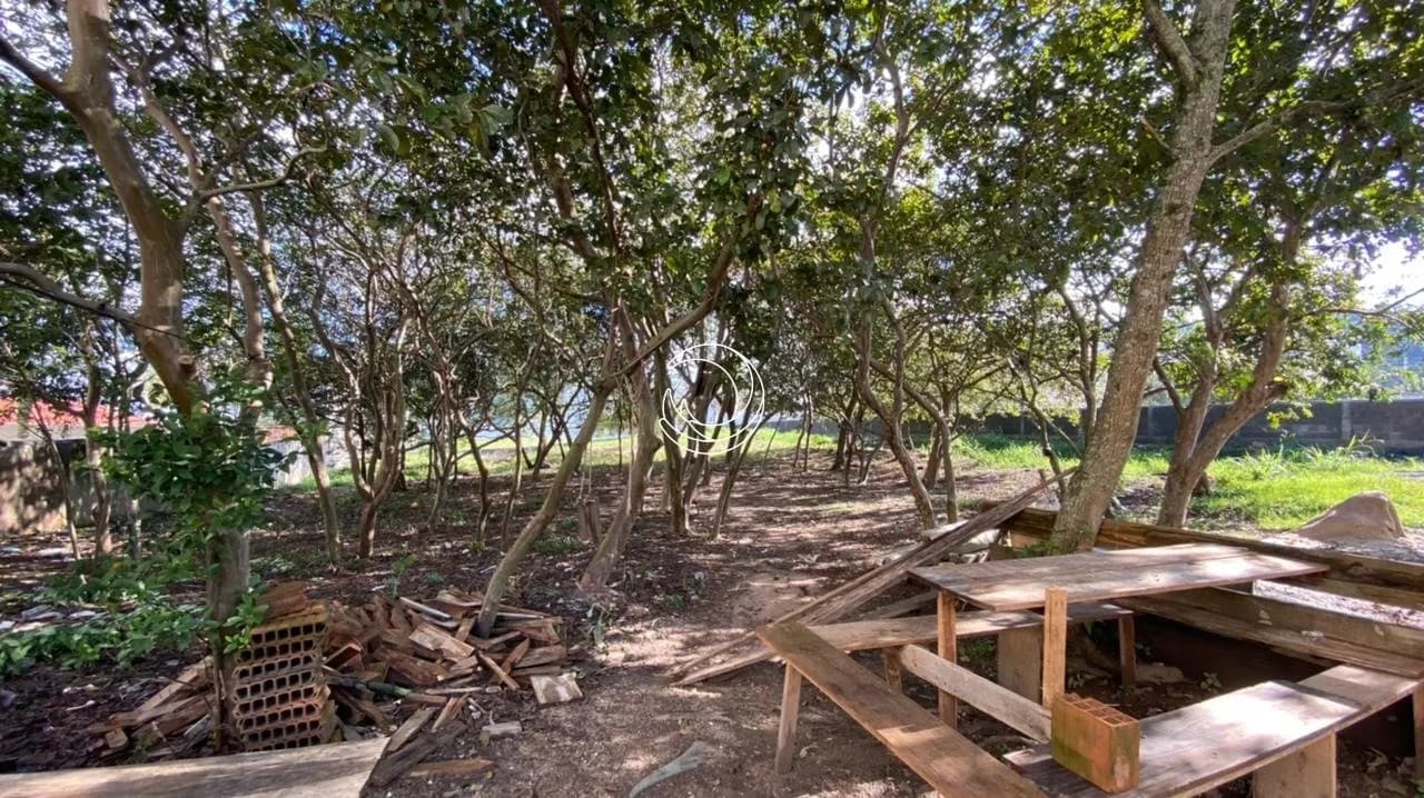 Terreno para venda em Areias com 1890 m² — foto 4