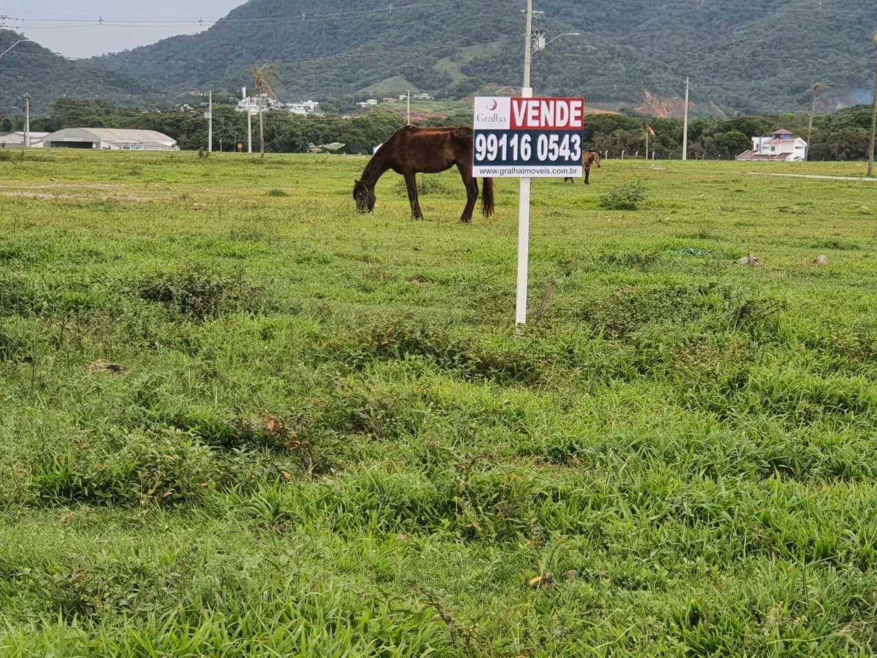 Terreno para venda em Sertao Do Maruim com 1135 m² — foto 2