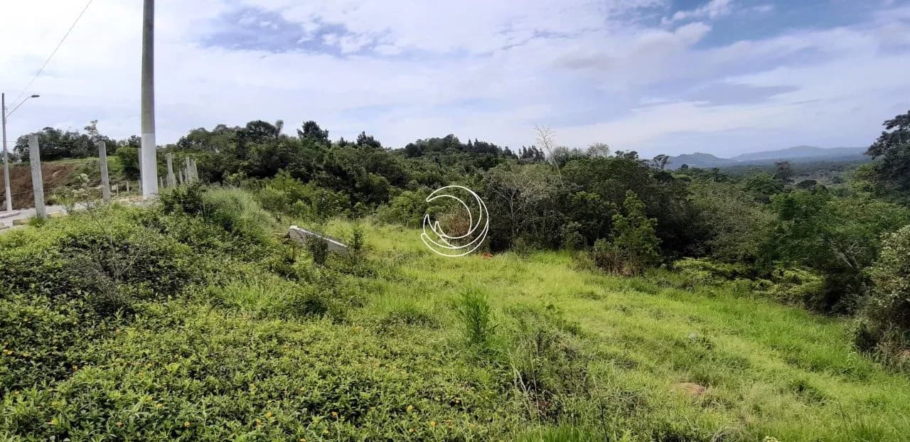 Terreno para venda em Santo Antônio de Lisboa com 53356 m² — foto 3