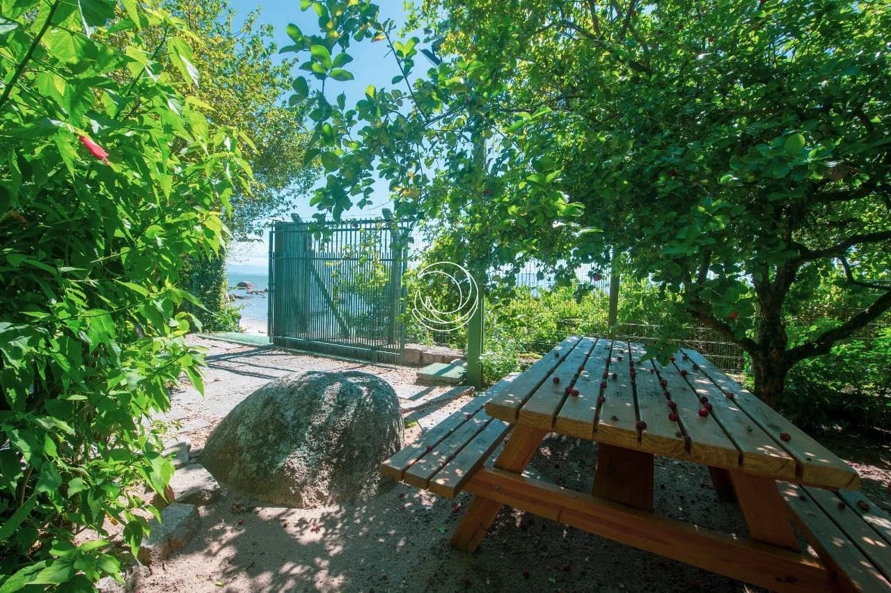 Casa para venda com 2 dormitórios em Sambaqui com 131 m² — foto 4