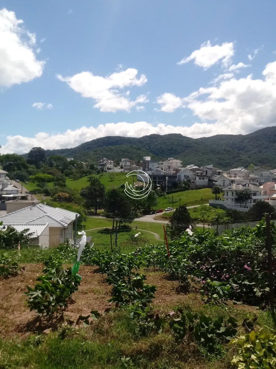 Terreno para venda em Pedra Branca com 575 m²