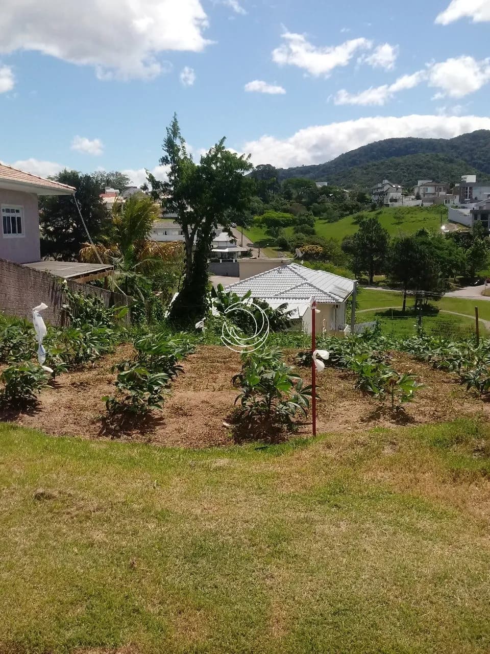 Terreno para venda em Pedra Branca com 575 m² — foto 4