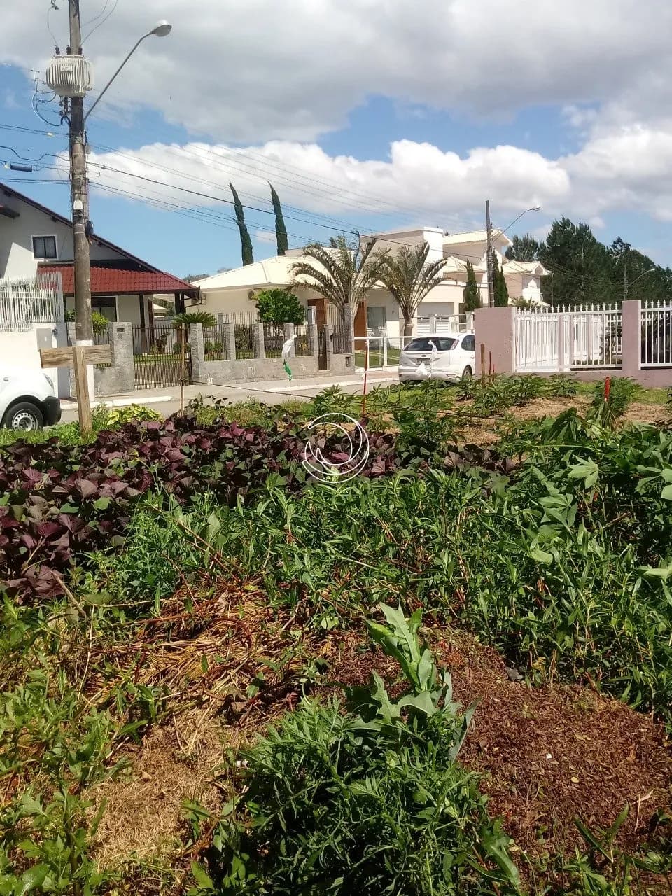 Terreno para venda em Pedra Branca com 575 m² — foto 5
