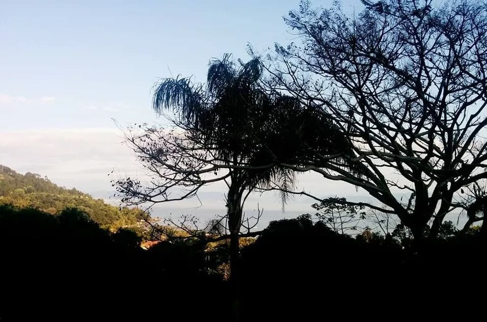 Terreno para venda em Santo Antônio de Lisboa com 15008 m² — foto 4