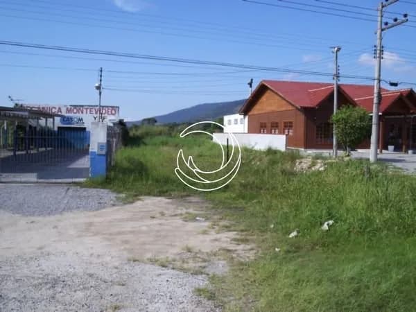Terreno para venda em Canasvieiras com 972 m² — foto 3