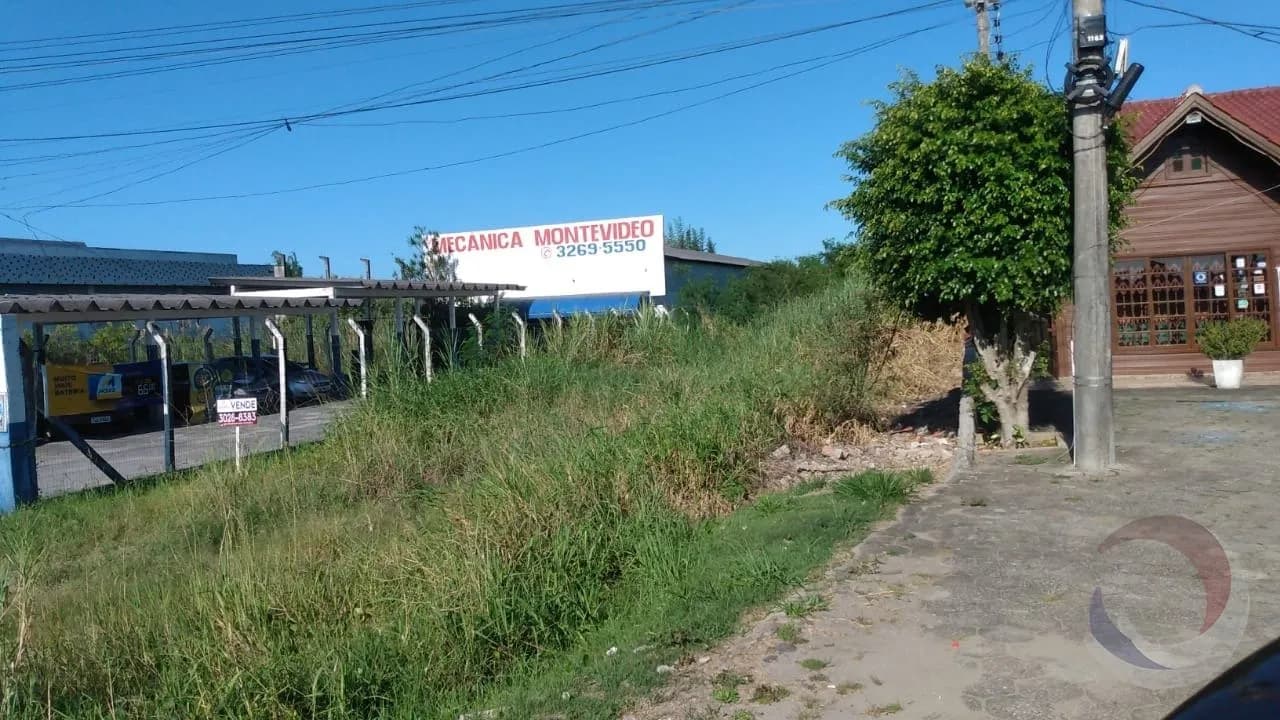 Terreno para venda em Canasvieiras com 972 m² — foto 4