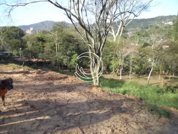Terreno para venda em Côrrego Grande com 1312 m² — foto 2